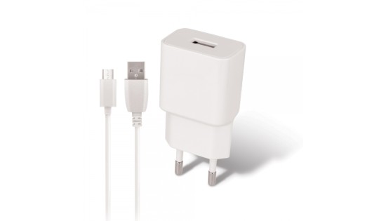 Travel Fast Charger Micro USB + Cable
