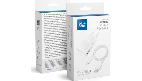Travel charger iPhone + Cable 1A white