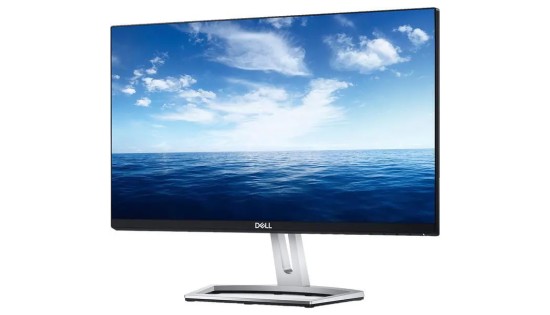 Dell S2218M - 22"