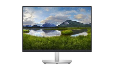 Dell P2421 - 24"