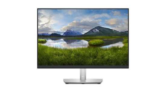 Dell P2421 - 24"